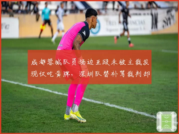 成都蓉城队员场边互殴未被主裁发现仅吃黄牌，深圳队替补骂裁判却遭第四官员上报禁赛半年处罚悬殊__br_