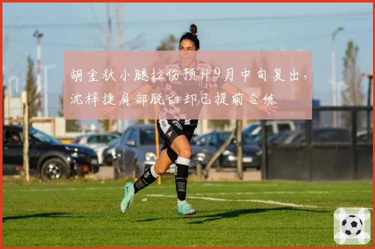 胡金秋小腿拉伤预计9月中旬复出，沈梓捷肩部脱臼却已提前合练