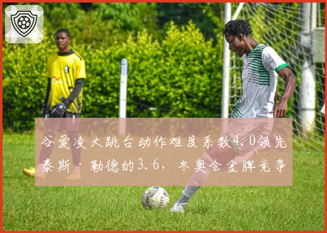 谷爱凌大跳台动作难度系数4.0领先泰斯·勒德的3.6,冬奥会金牌竞争技术壁垒